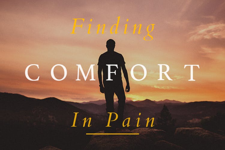 Finding Comfort In Pain Discussion Guide
